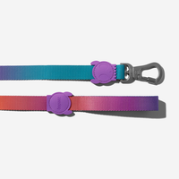 【Zee.Dog】Dog leash - Gradient Wave