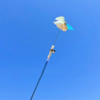 【PAWWAII】小蜂鸟逗猫棒