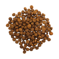 【Go! Solutions】猫粮 - 肠道消化健康 - 粗粮三文鱼配方