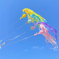 【PAWWAII】Dancing Jelly Cat Teaser