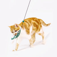 【MEOWCARD】Cat Teaser - Hugo