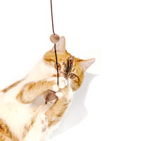 【MEOWCARD】Sparrow Cat Teaser with Bell