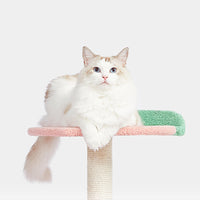 【Clearance】Fruits Cat Tree Cat Tower