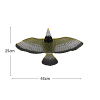 Flying Eagle Toy With Music