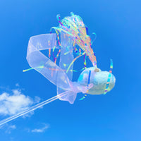 【PAWWAII】毛茸茸大爱心逗猫棒