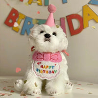 宝宝生日套装围脖+小帽子