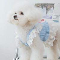 【Clearance】Chiffon Lace Dress