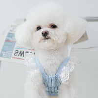 【Clearance】Chiffon Lace Dress