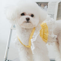 【Clearance】Chiffon Lace Dress