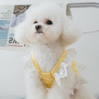 【Clearance】Chiffon Lace Dress