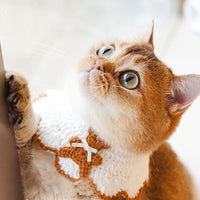 Handmade wool Pet Cape - Bear