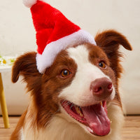 Christmas Santa Hat For Dog