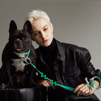 【MAOGOUBLUE】Self-unwinding Dog Leash Set - Mint