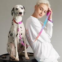 【MAOGOUBLUE】狗狗牵引套装 - 缤纷糖果