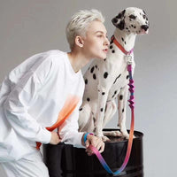 【MAOGOUBLUE】狗狗牵引套装 - 缤纷糖果