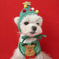 Christmas Tree Hat & Bib