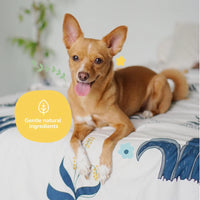 【Kin + Kind】天然有机除臭喷雾 - 薰衣草