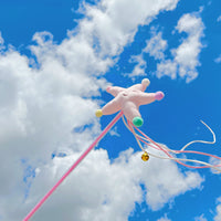 快乐小花/星星逗猫棒