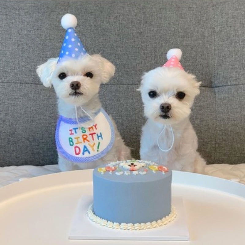 It's My Birthday Bibs