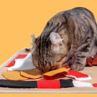 POOZPET Pet Training Relaxing Toy - Happy Meal - Pet Supplies - PawPawDear