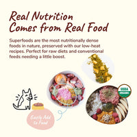 【Kin + Kind】消化健康营养粉 4oz