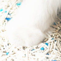 【Nikoro】Composite Tofu Cat Litter 6L