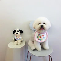 寿星专属小围兜