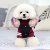 Furry Furry Winter Vest-Apparel-PawPawDear