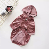 Metallic Velvet Hoodie - Pet Supplies - PawPawDear