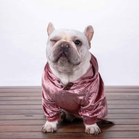 Metallic Velvet Hoodie - Pet Supplies - PawPawDear