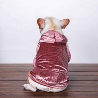 Metallic Velvet Hoodie - Pet Supplies - PawPawDear