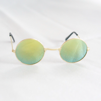 Sunglasses For Doggie-Dog Accessories-PawPawDear