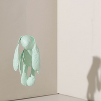 【MAOGOUBLUE】Rabbit Gaga Poop Bags - Green