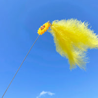 【PAWWAII】小雏菊毛绒尾巴逗猫棒