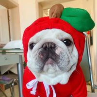 Christmas Apple Hoodie