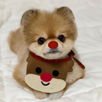 Christmas Little Deer Bibs