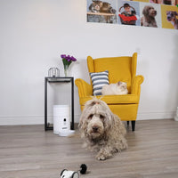 【INSTACHEW】The Purechase Smart Pet Mouse (App-enabled)