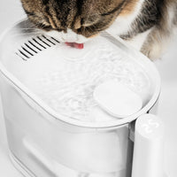 【PIDAN】23° Water Fountain for Pets with Water Temperature Control