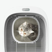 【HOMERUN】Cat Litter Box