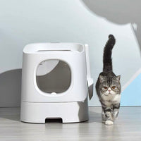 【HOMERUN】Cat Litter Box