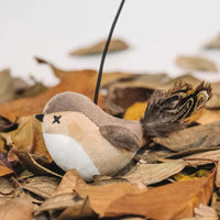 【MEOWCARD】Sparrow Cat Teaser with Bell