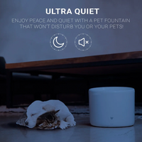 【INSTACHEW】Purrflow Smart Pet Water Fountain