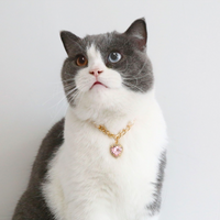 闪亮大钻石项链