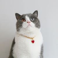 闪亮大钻石项链