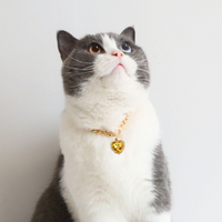 闪亮大钻石项链