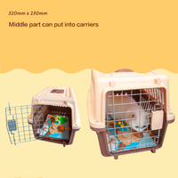 【POOZPET】Cat Training Relaxing Toy - World Map