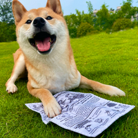 Newspaper Crinkle Toy