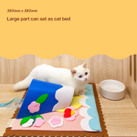 【POOZPET】Cat Training Relaxing Toy - World Map