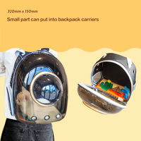 【POOZPET】Cat Training Relaxing Toy - World Map