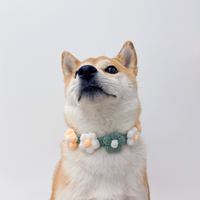 Green And Yellow Sun Flower